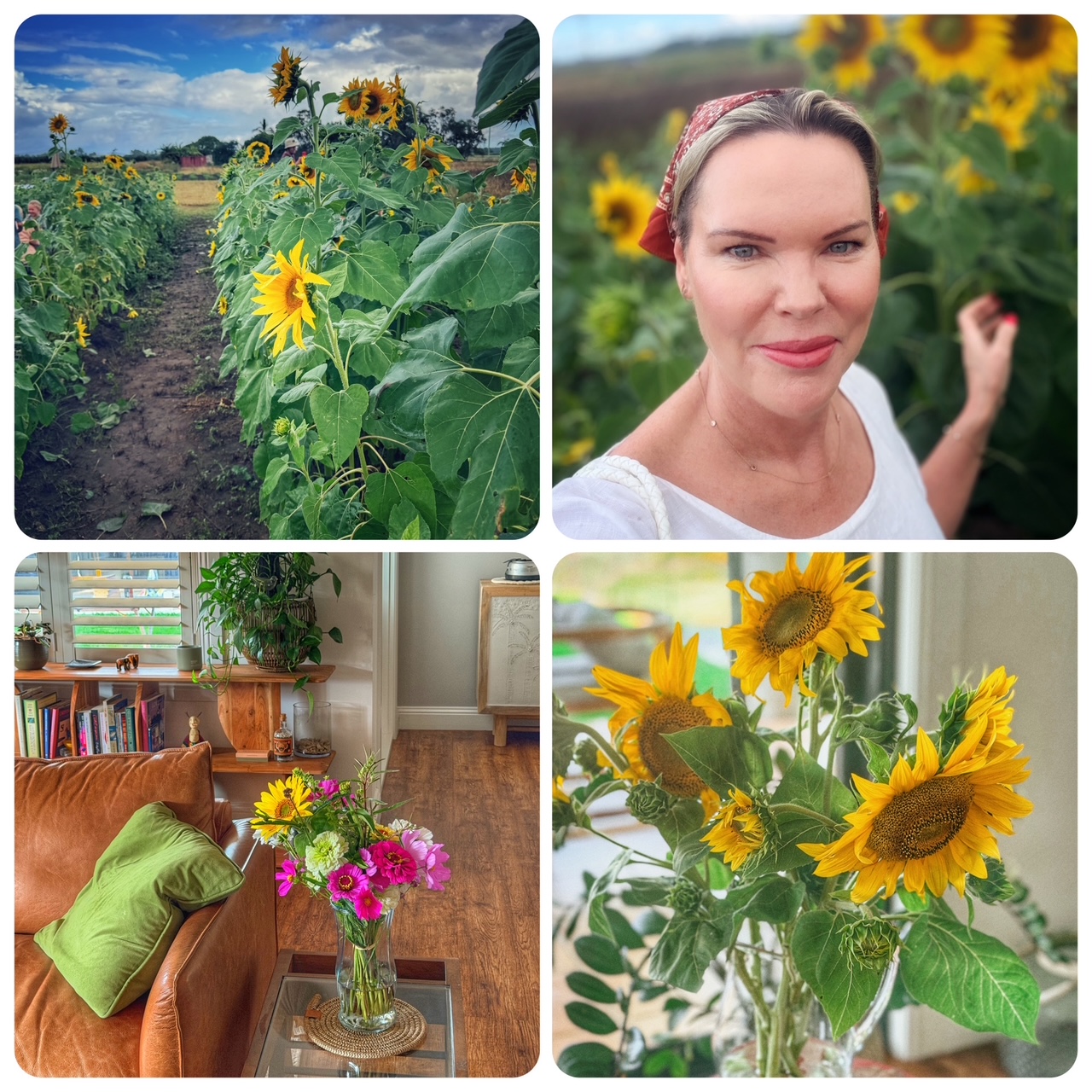Carla among the sunflowers at Sunny Acres, Palmers Channel